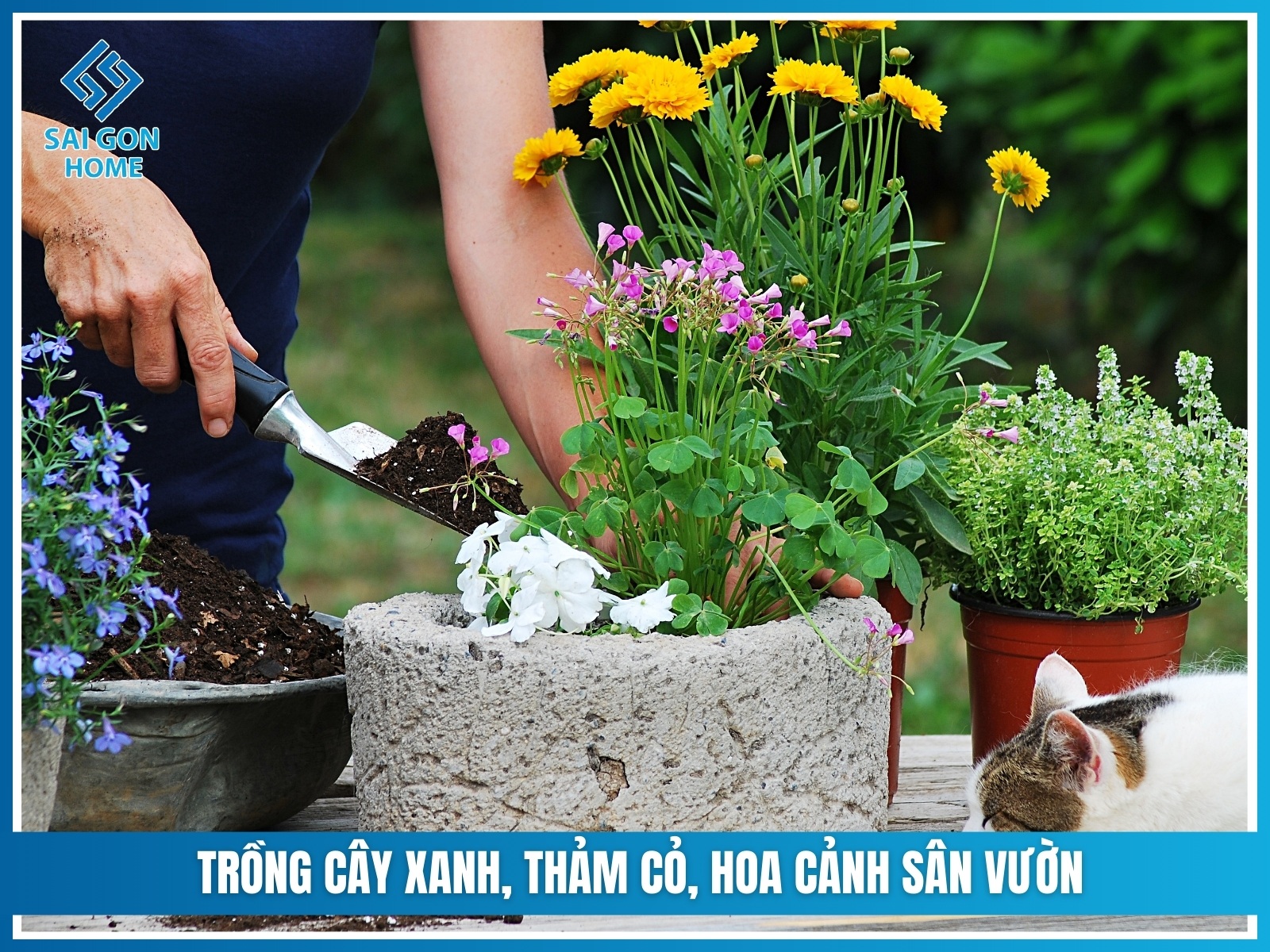 Báo giá thiết kế thi công sân vườn trọn gói 2025 37 Trong cay xanh tham co hoa canh