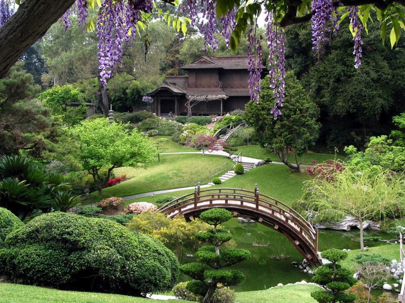 Thiết kế cảnh quan phong cách Nhật Bản với thảm cỏ, cầu gỗ và hồ nước tạo thành một khu vườn tuyệt đẹp