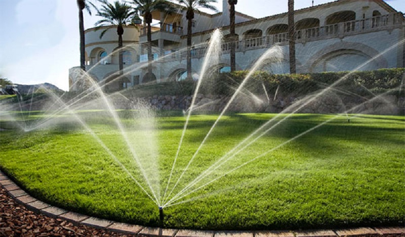 Tưới nước là việc quan trọng đầu tiên để bảo dưỡng cảnh quan sân vườn sau thi công