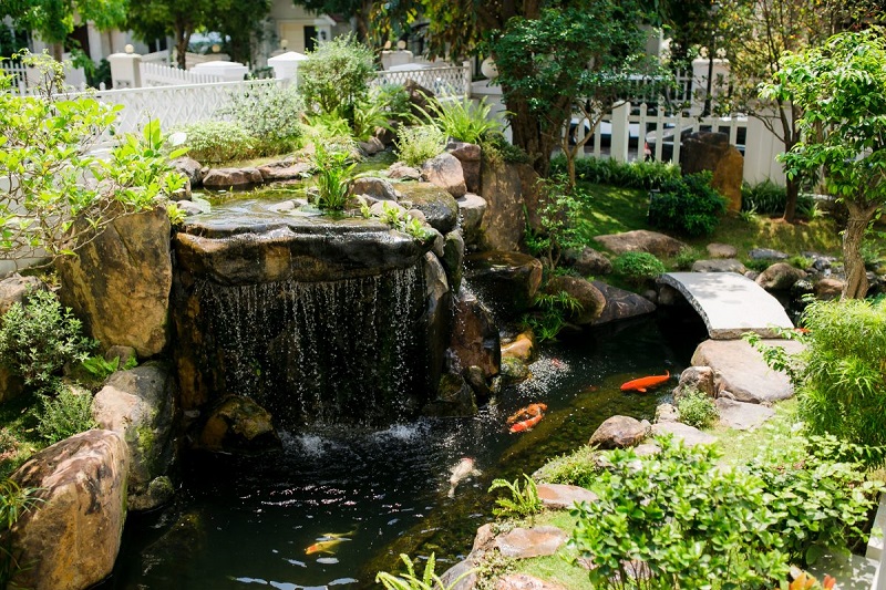 Mẫu thiết kế cảnh quan sân vườn với thác nước, hồ cá và lối đi lát đá vô cùng độc đáo và sinh động