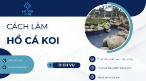 Cách làm hồ cá koi đẹp tại nhà CHUẨN kỹ thuật từ A - Z