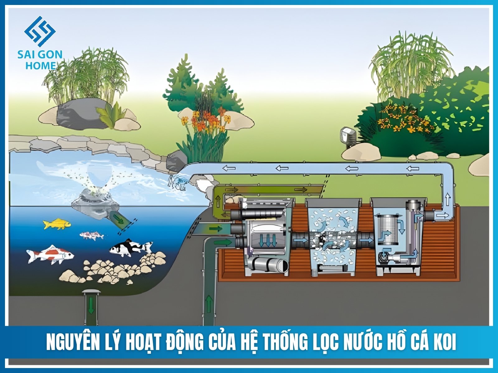 Nguyên lý hoạt động của hệ thống lọc nước hồ cá koi