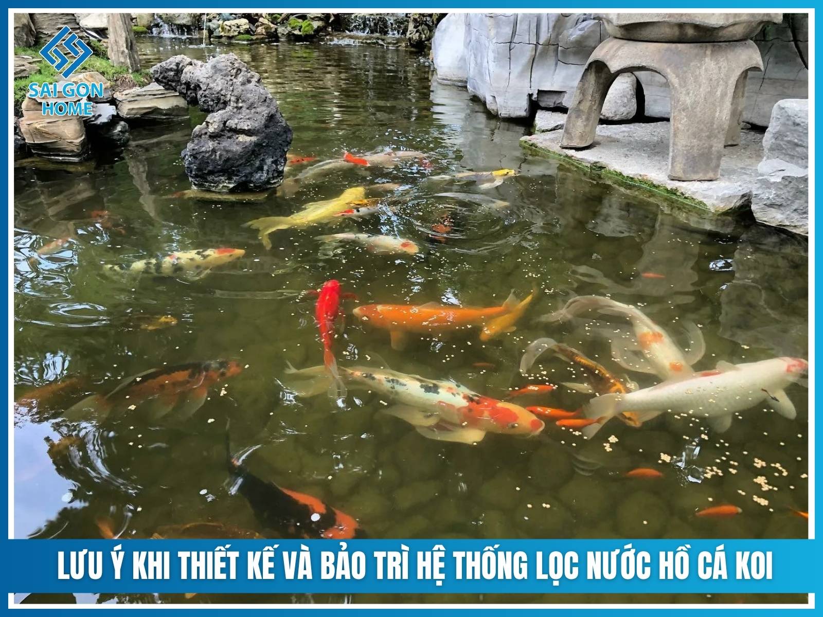 Lưu ý khi thiết kế và bảo trì hệ thống lọc nước hồ cá koi