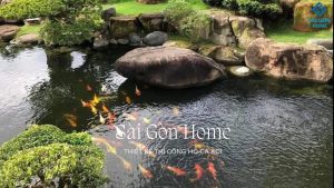 THIẾT KẾ HỒ CÁ KOI NHÀ ANH TRÍ - BÌNH CHÁNH