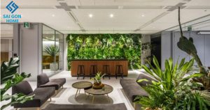 cải thiện môi trường văn phòng, làm cho nó trong lành hơn