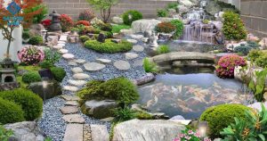 Thi Công hồ cá koi nhà phố Anh Vũ - Bình Thạnh