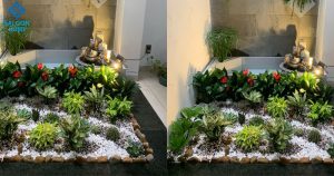 Một tiểu cảnh bé xinh trong nhà