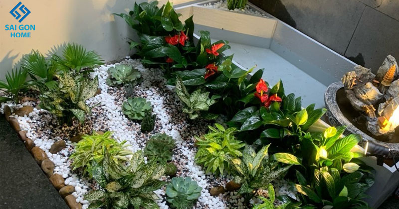 Tiểu cảnh nhỏ trong khuôn viên nhà chị Hòa - Quận 11 1 Tiểu cảnh nhỏ trong khuôn viên nhà chị Hòa - Quận 11