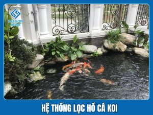 Hệ thống lọc hồ cá koi chất lượng