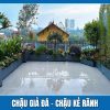 Chậu giả đá - Chậu kẻ rãnh 10 Chậu giả đá, chậu kẻ rãnh