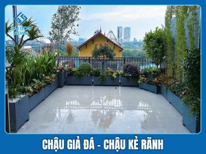 Chậu giả đá, chậu kẻ rãnh