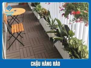 Chậu hàng rào đẹp giá rẻ uy tín TPHCM