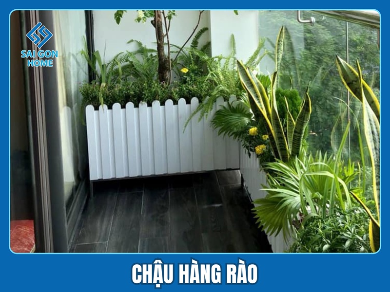 Mẫu chậu hàng rào đẹp mau chau hang rao dep