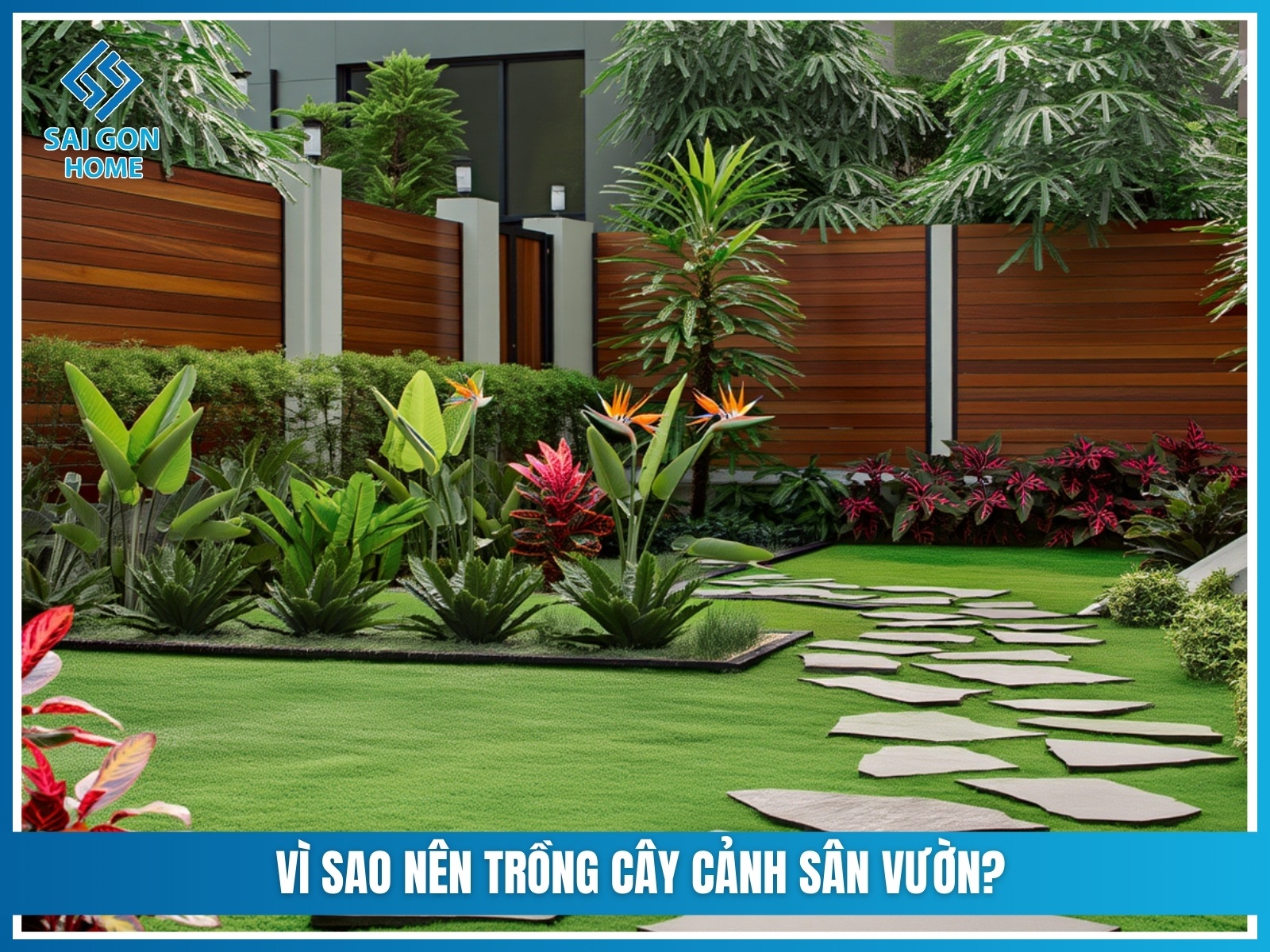 75+ cây cảnh sân vườn dễ trồng & hợp phong thủy 22 Vi sao nen trong cay canh san vuon