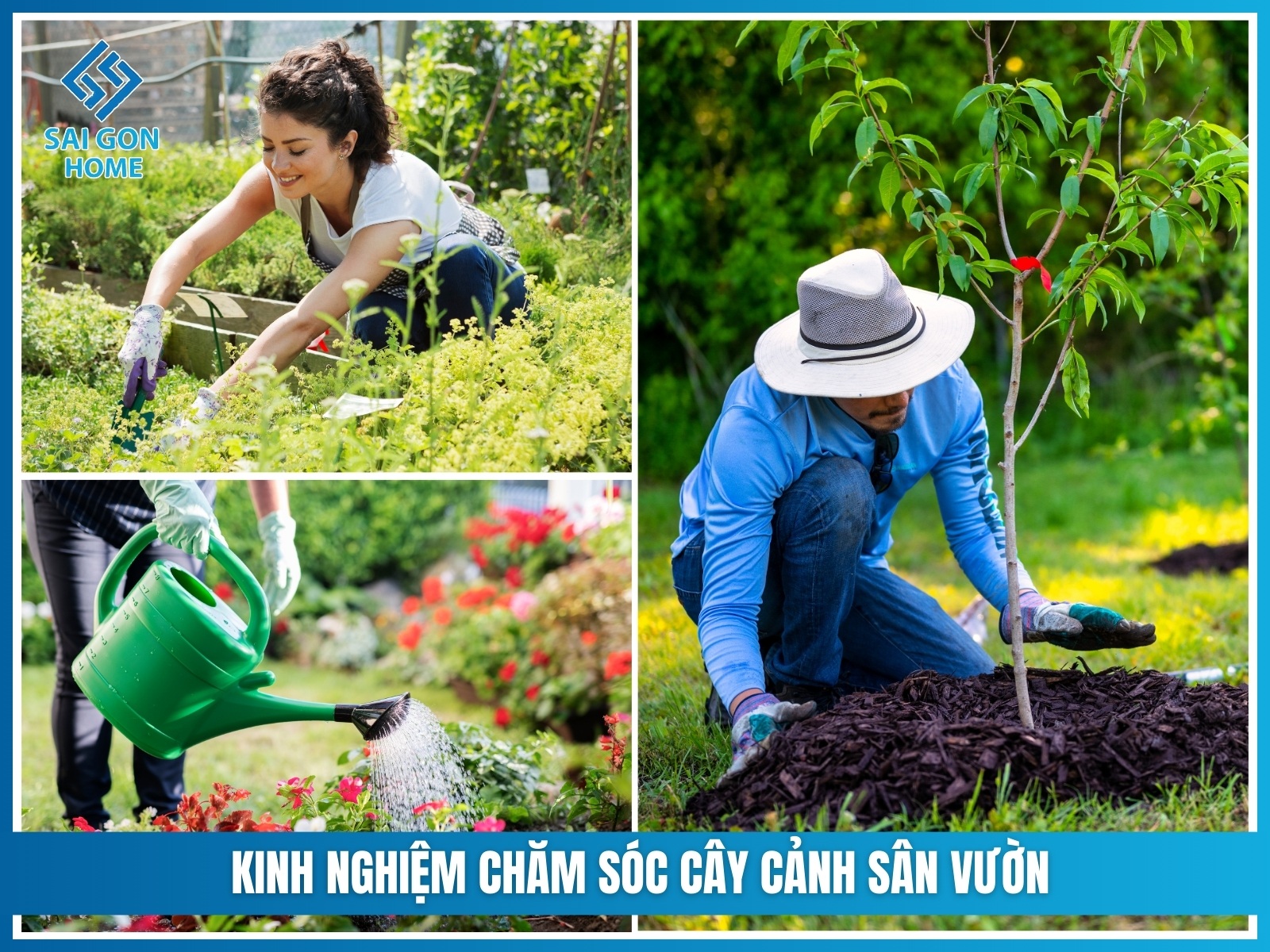 75+ cây cảnh sân vườn dễ trồng & hợp phong thủy 39 Kinh nghiem cham soc cay canh san vuon
