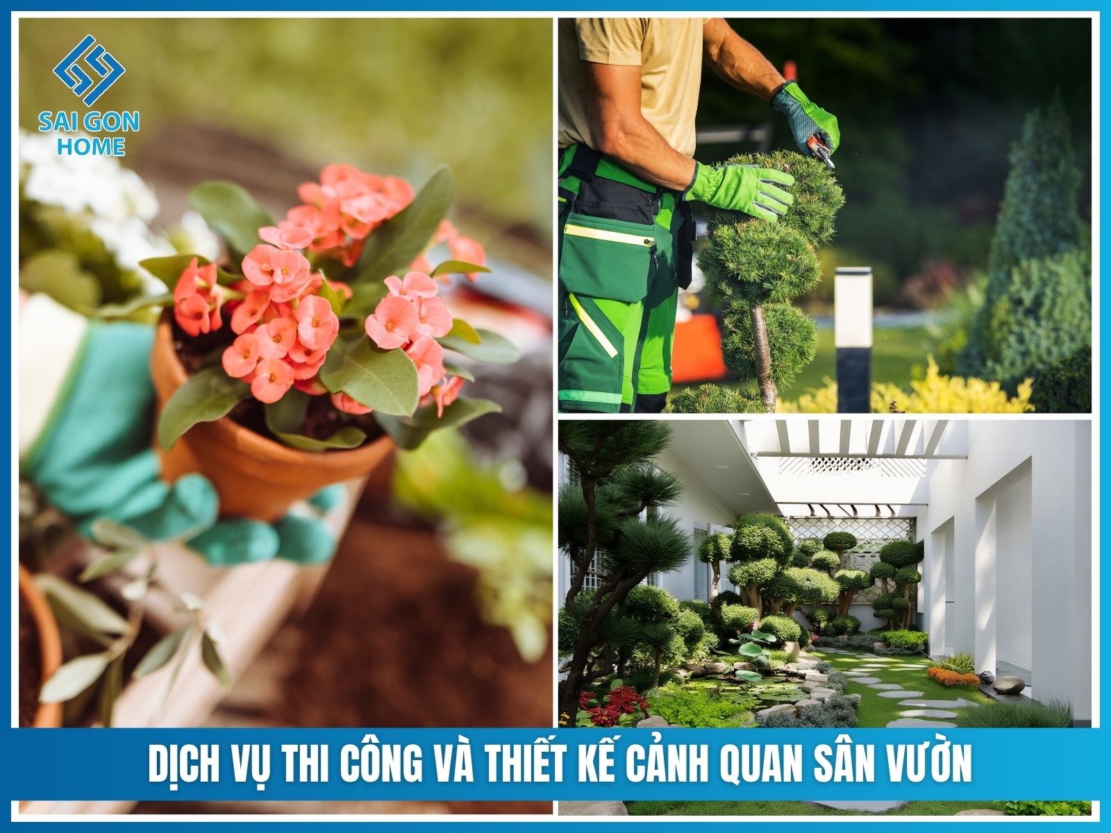 75+ cây cảnh sân vườn dễ trồng & hợp phong thủy 40 Dich vu thi cong va thiet ke canh quan san vuon