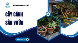 Cay canh san vuon