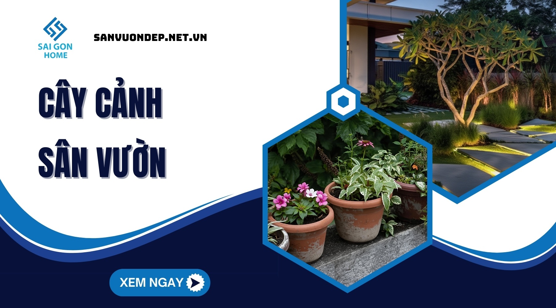 75+ cây cảnh sân vườn dễ trồng & hợp phong thủy 21 cây cảnh sân vườn dễ trồng hợp phong thủy