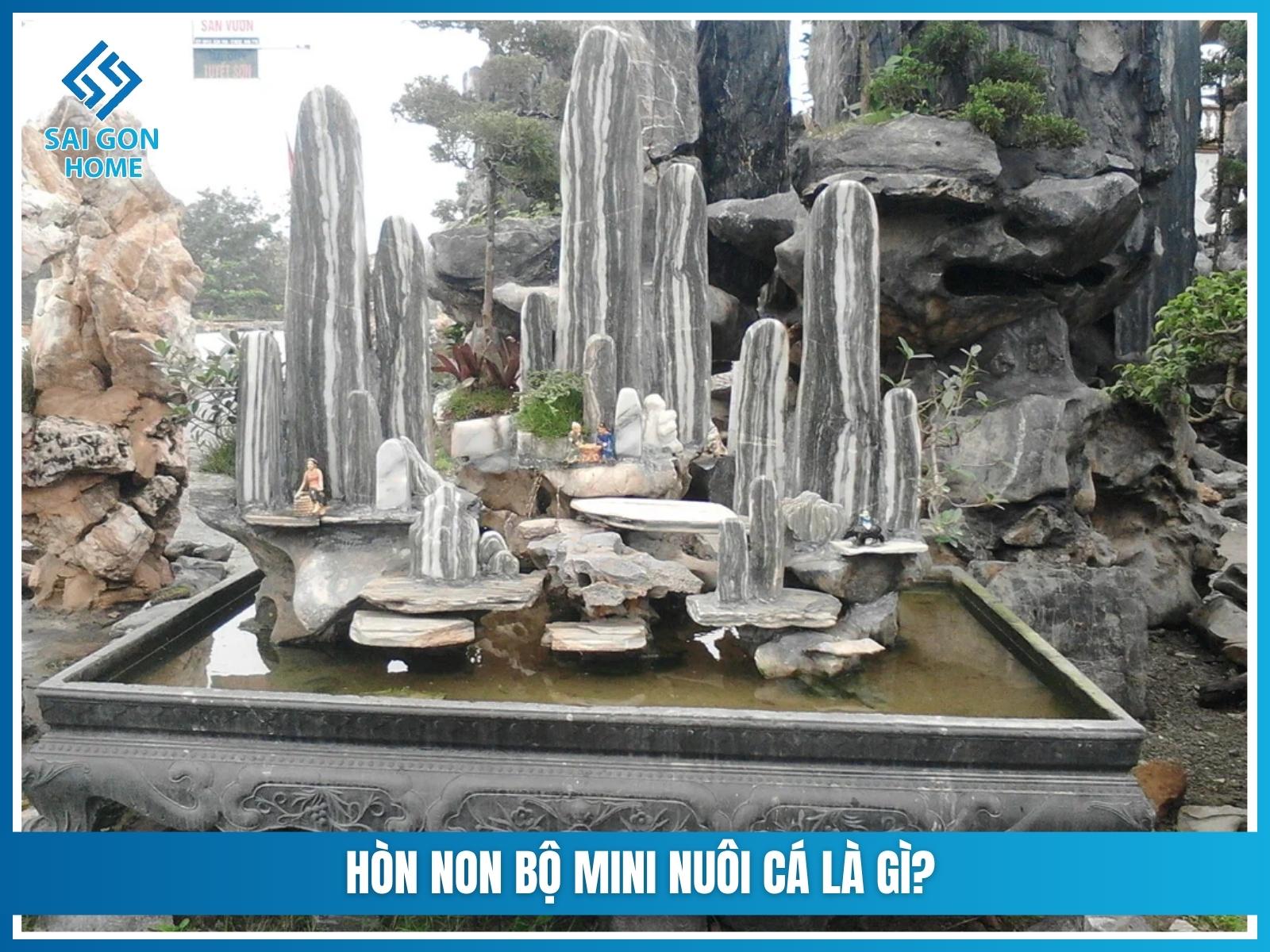 Hon non bo mini nuoi ca la gi Y nghia phong thuy
