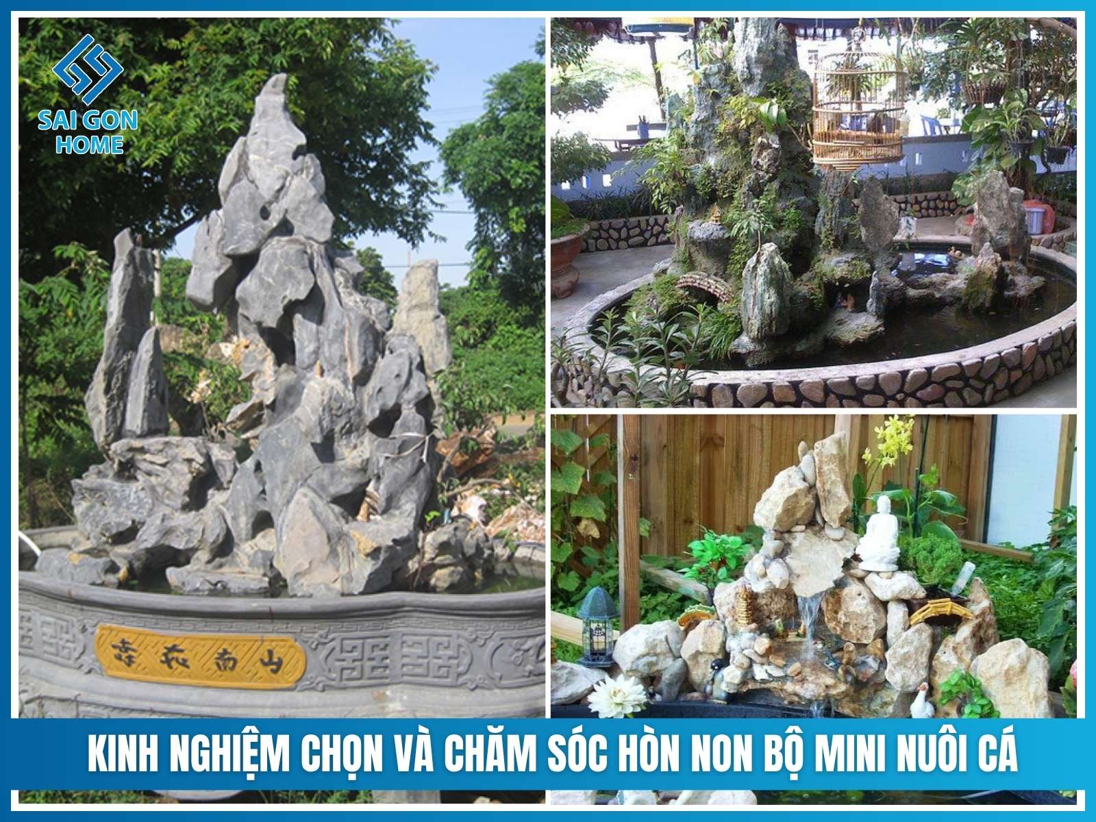 Kinh nghiem chon va cham soc hon non bo mini nuoi ca