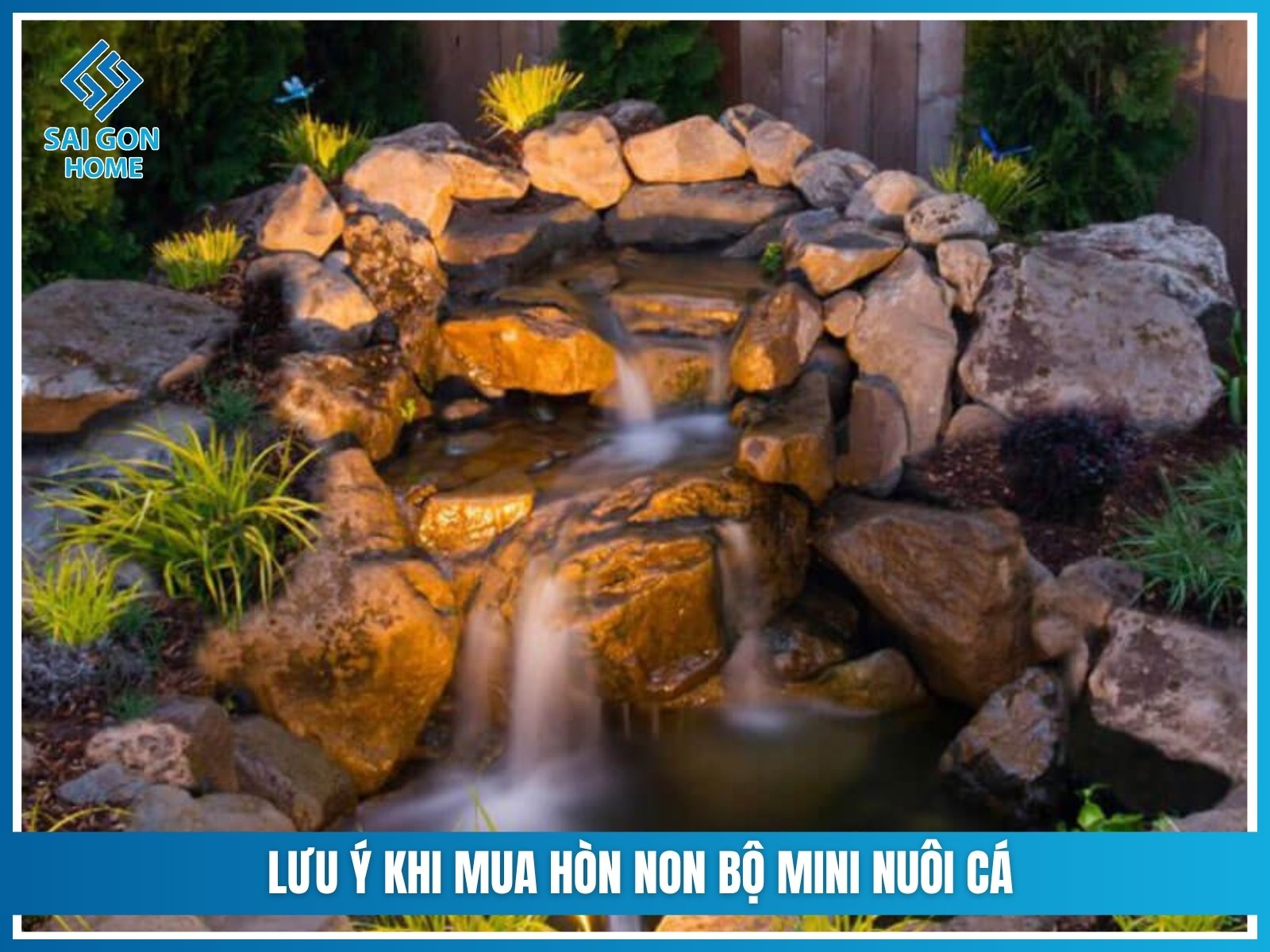 Nhung luu y khi mua hon non bo mini nuoi ca