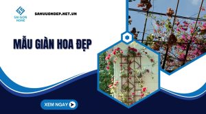 Mau gian hoa dep