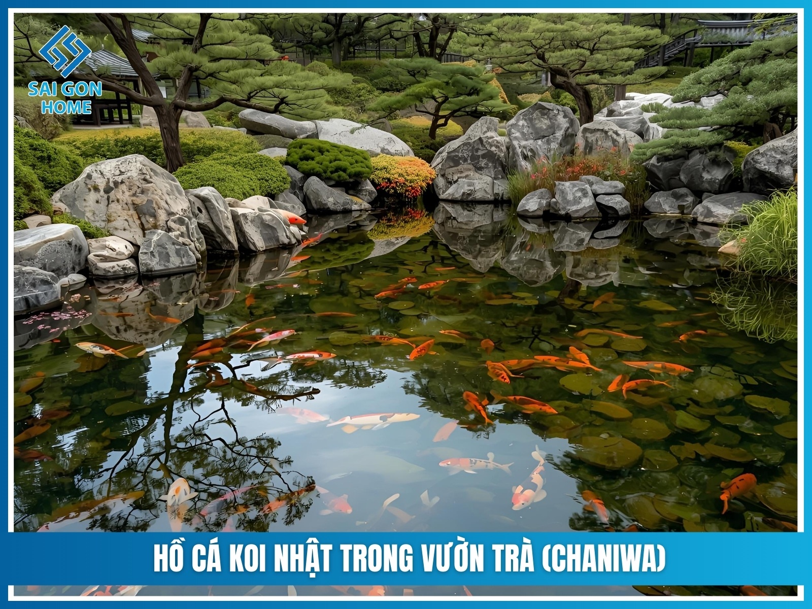 Mẫu sân vườn Nhật Bản 45 Ho ca Koi Nhat trong vuon tra Chaniwa