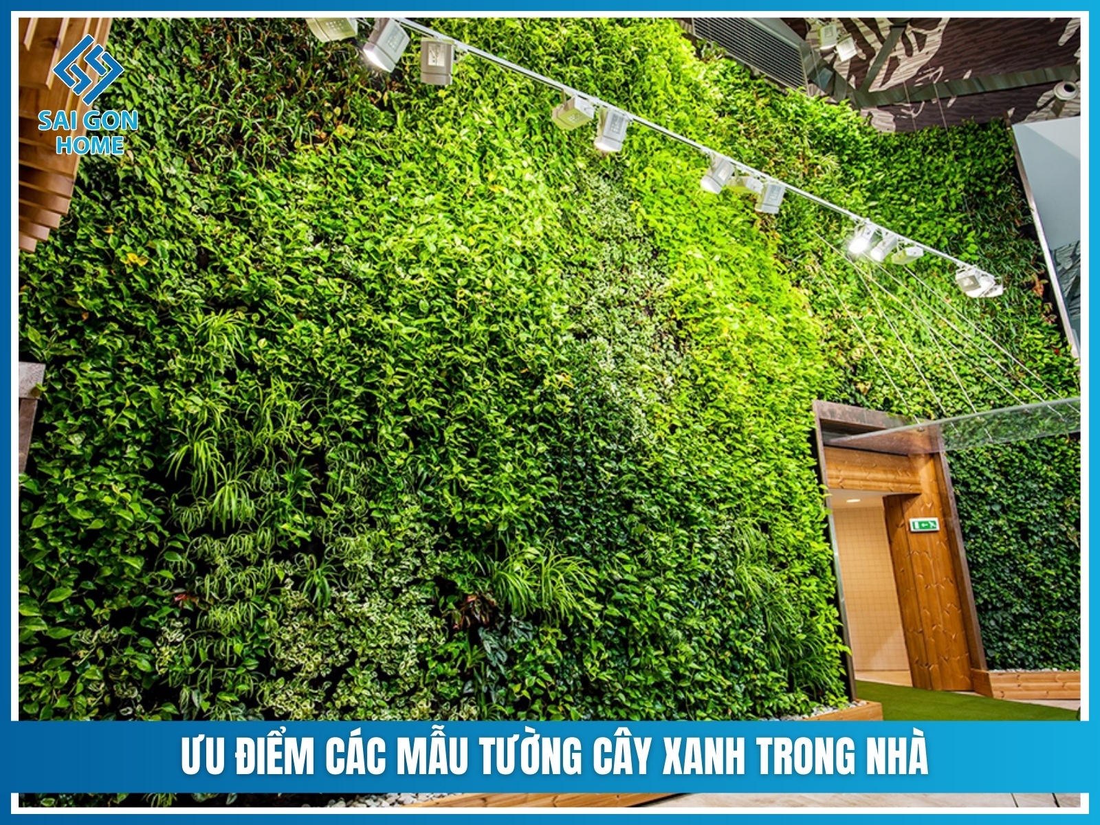 Uu diem cac mau tuong cay xanh trong nha