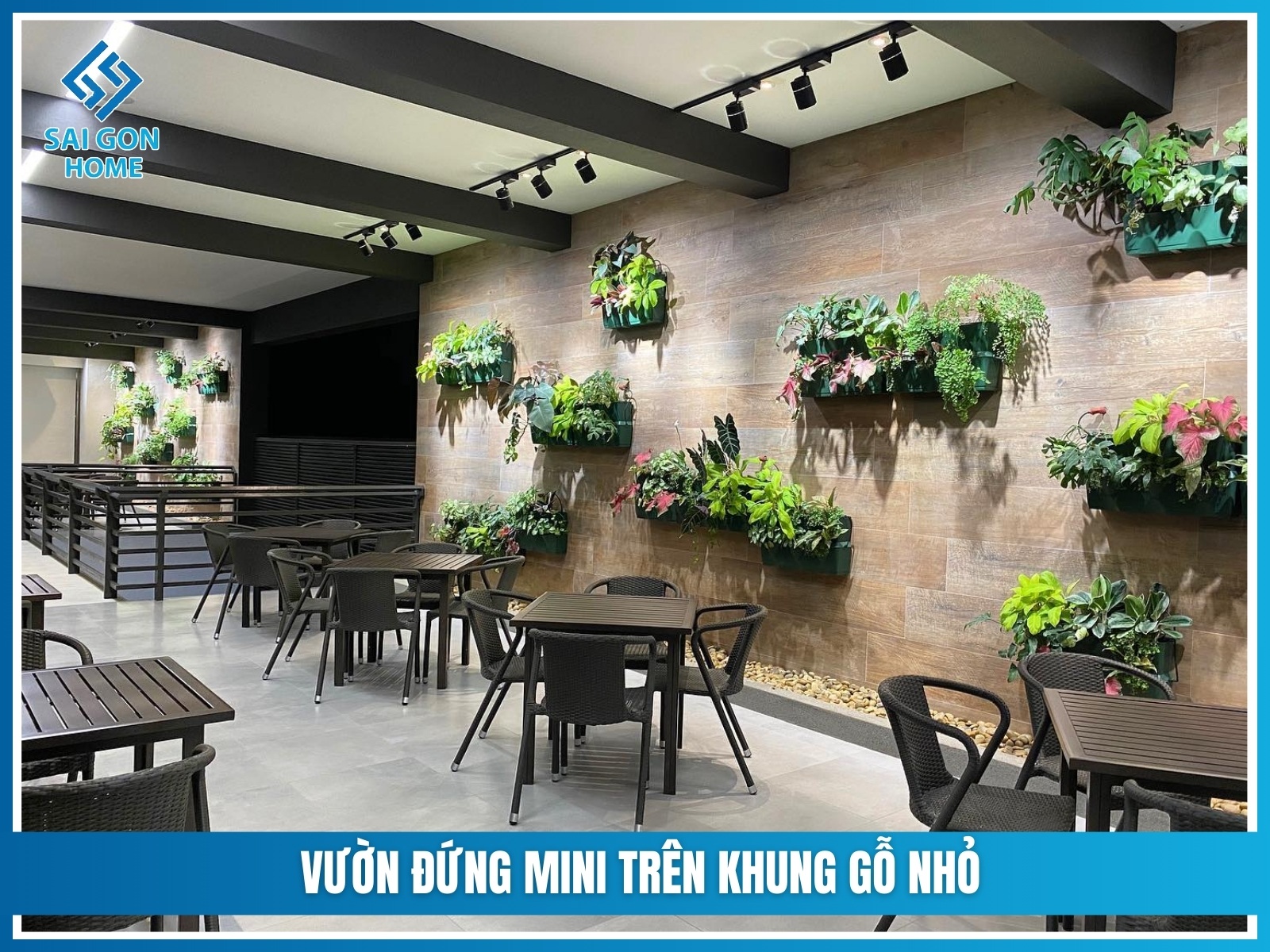 Vuon dung mini tren khung go nho