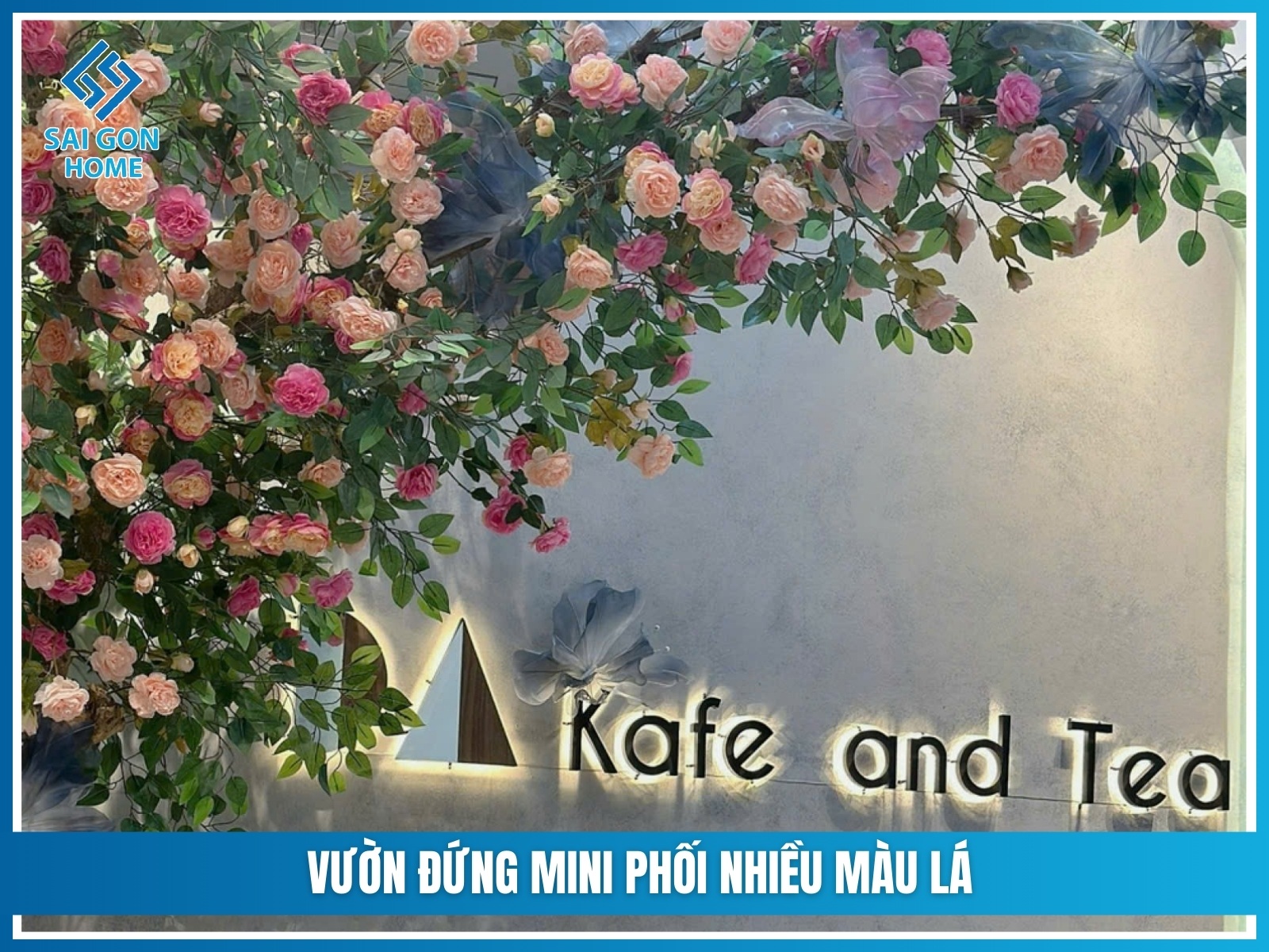 Vuon dung mini phoi nhieu mau la