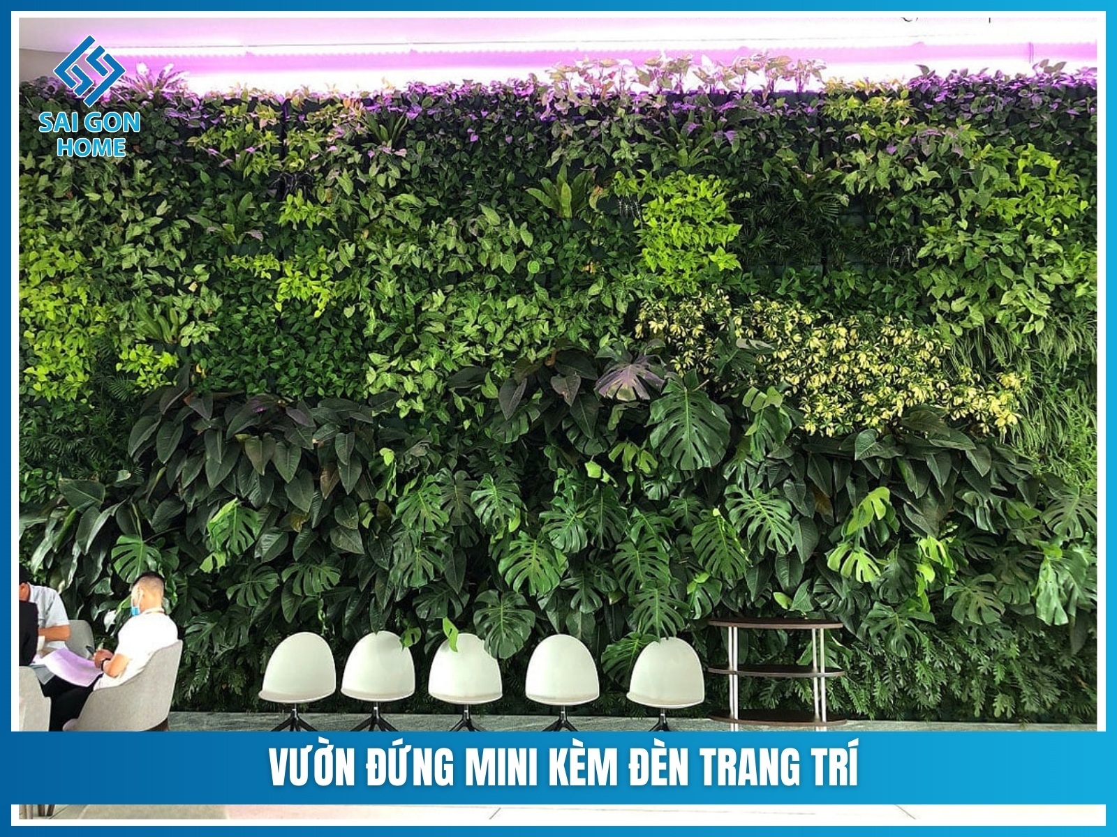 Vuon dung mini kem den trang tri