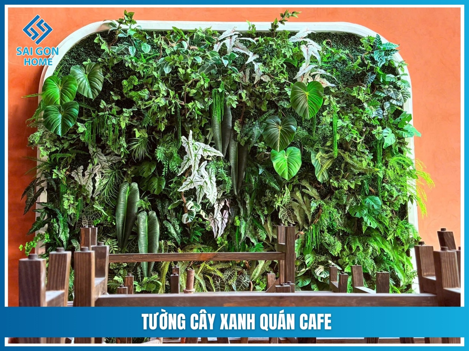 Tuong cay xanh quan cafe