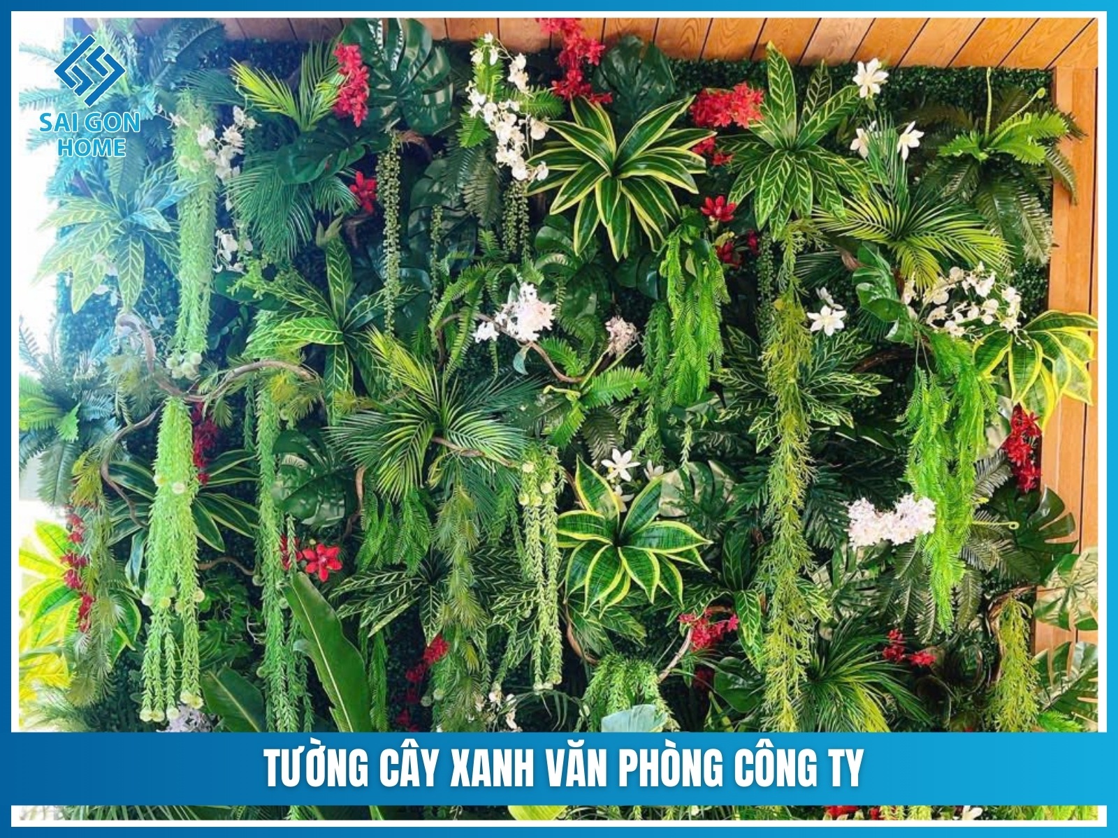 Tuong cay xanh van phong cong ty