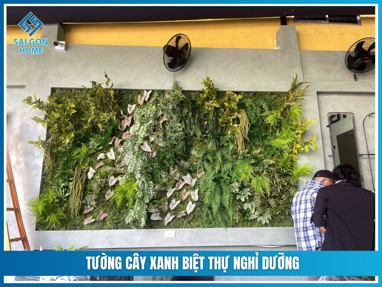 Tuong cay xanh biet thu nghi duong