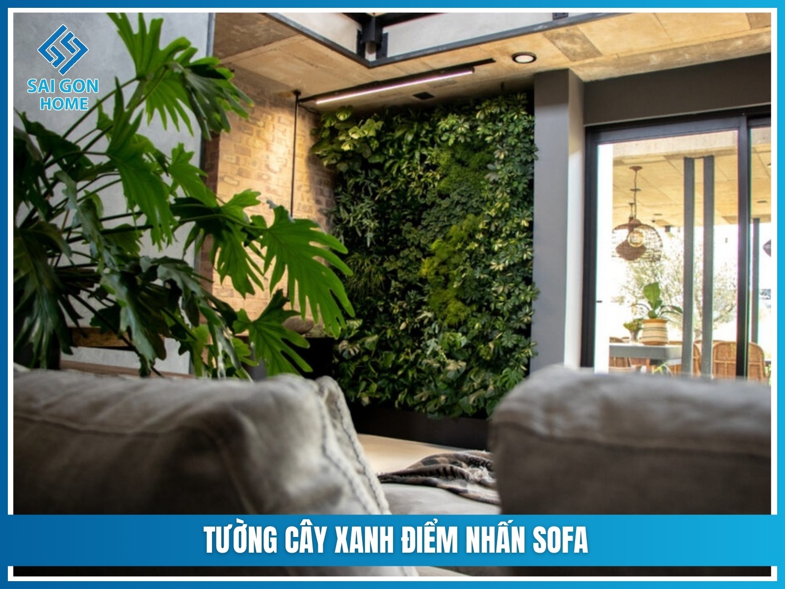 Tuong cay xanh diem nhan sofa