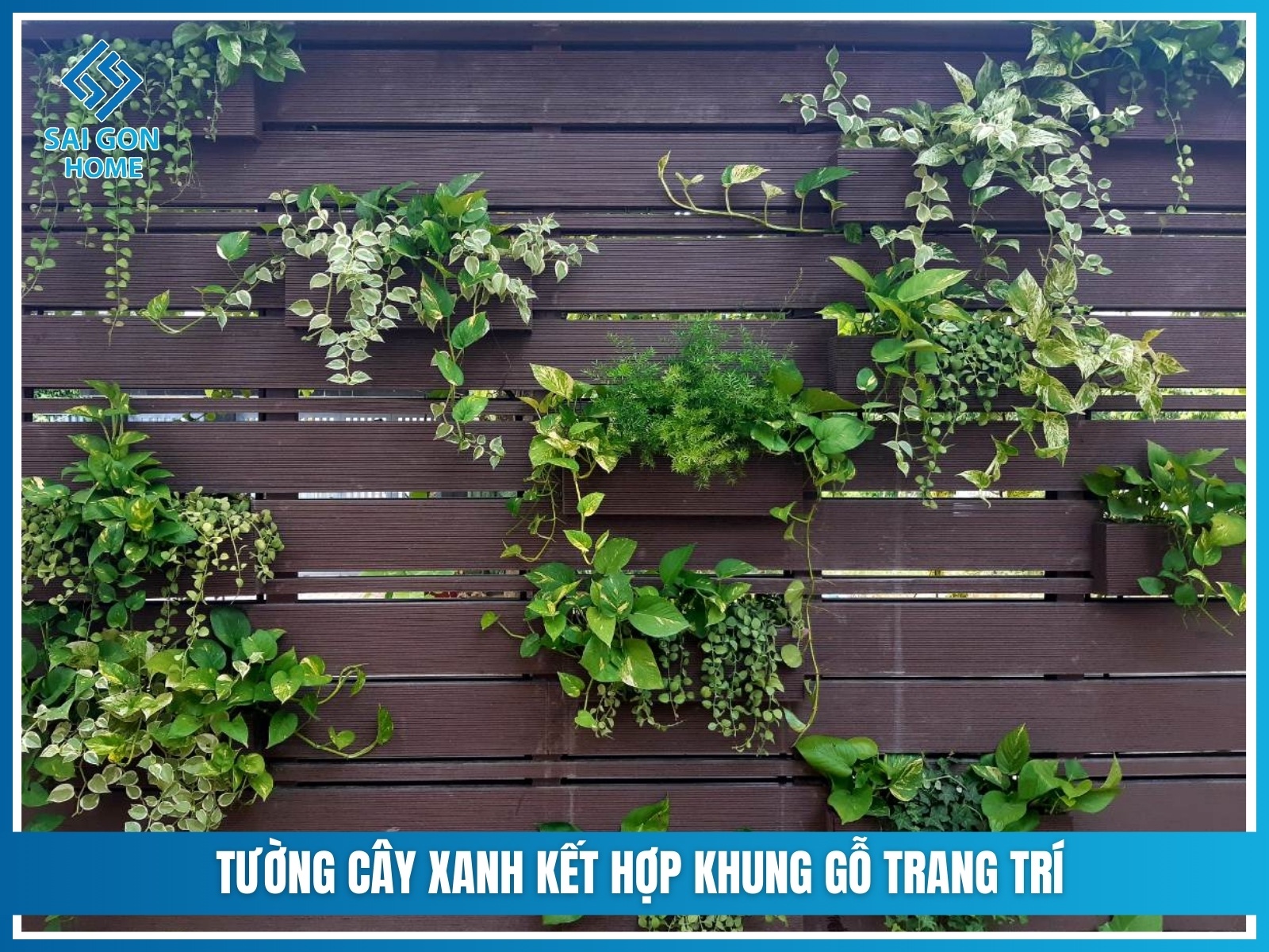 Tuong cay xanh ket hop khung go trang tri