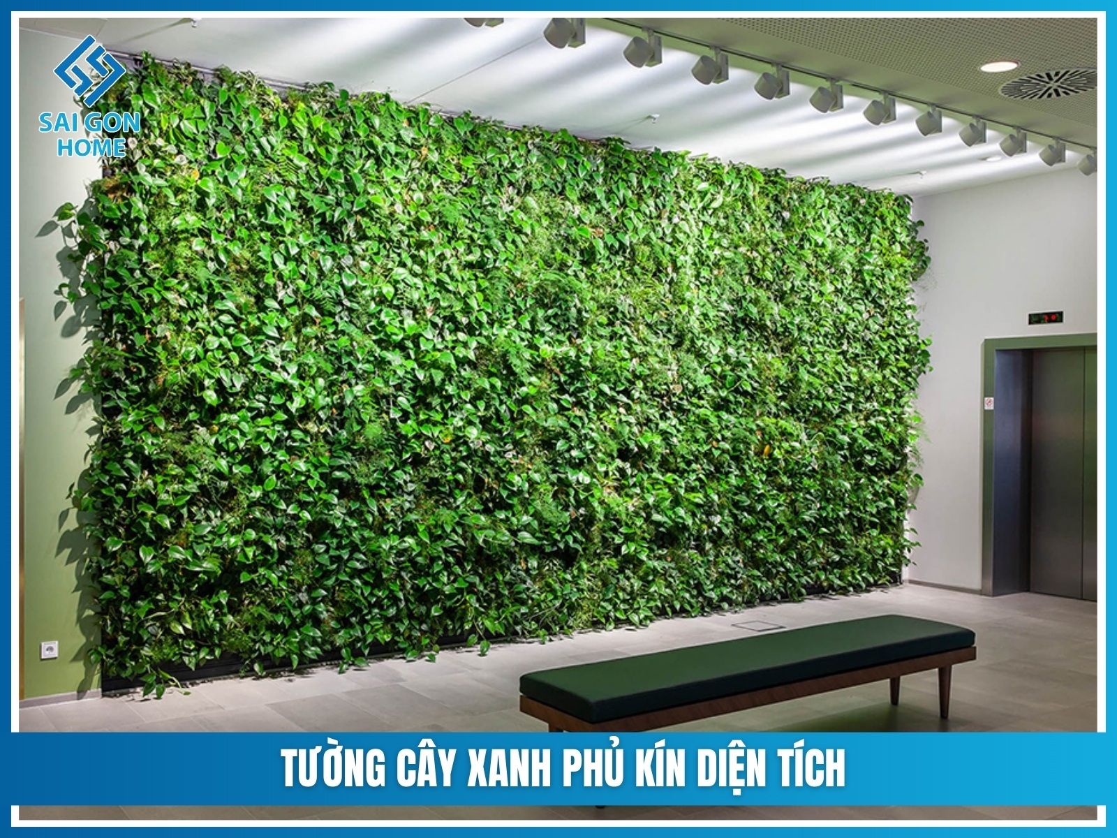 Tuong cay xanh phu kin dien tich