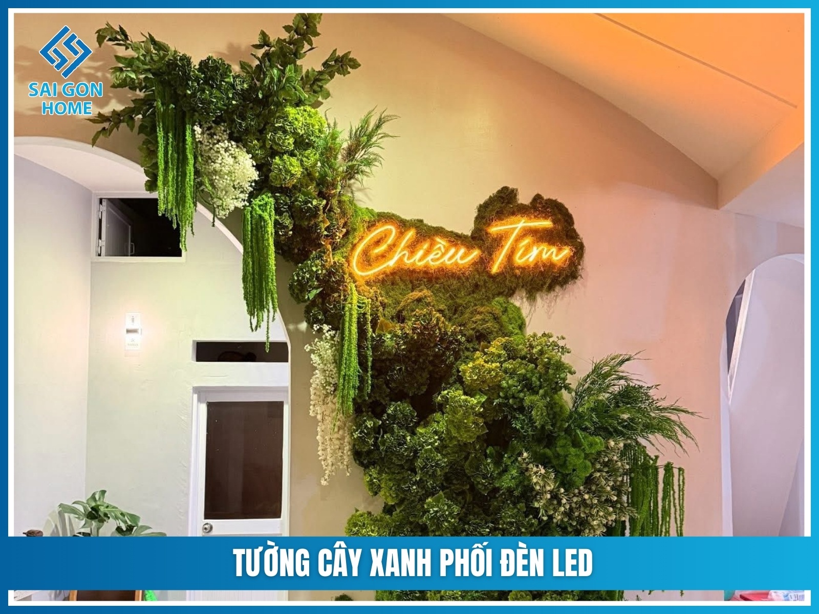 Tuong cay xanh phoi den LED