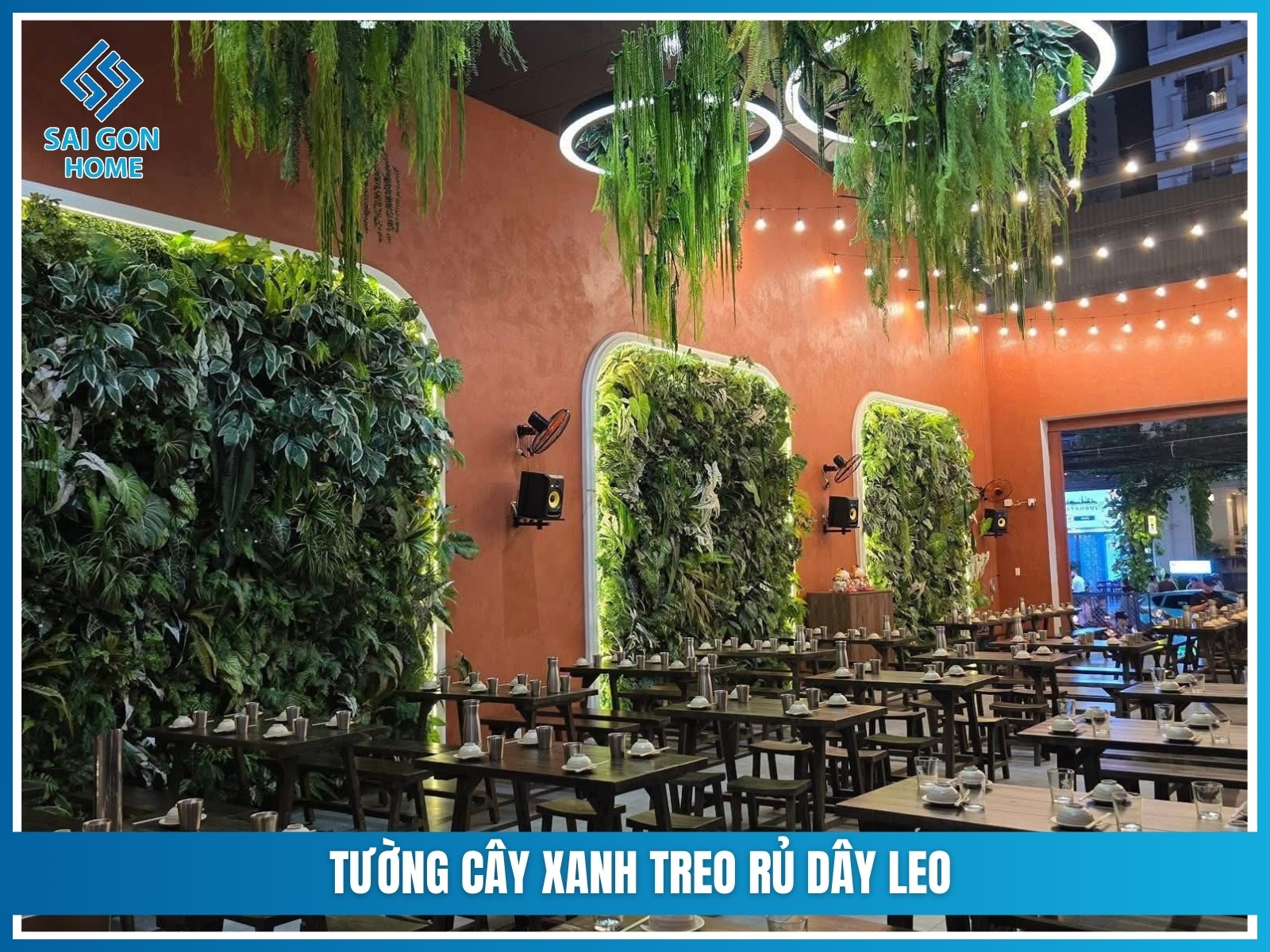 Tuong cay xanh treo ru day leo