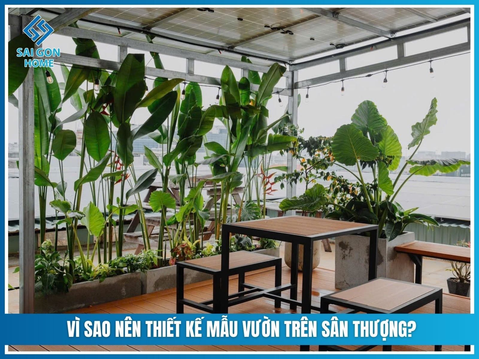 Vi sao nen thiet ke mau vuon tren san thuong