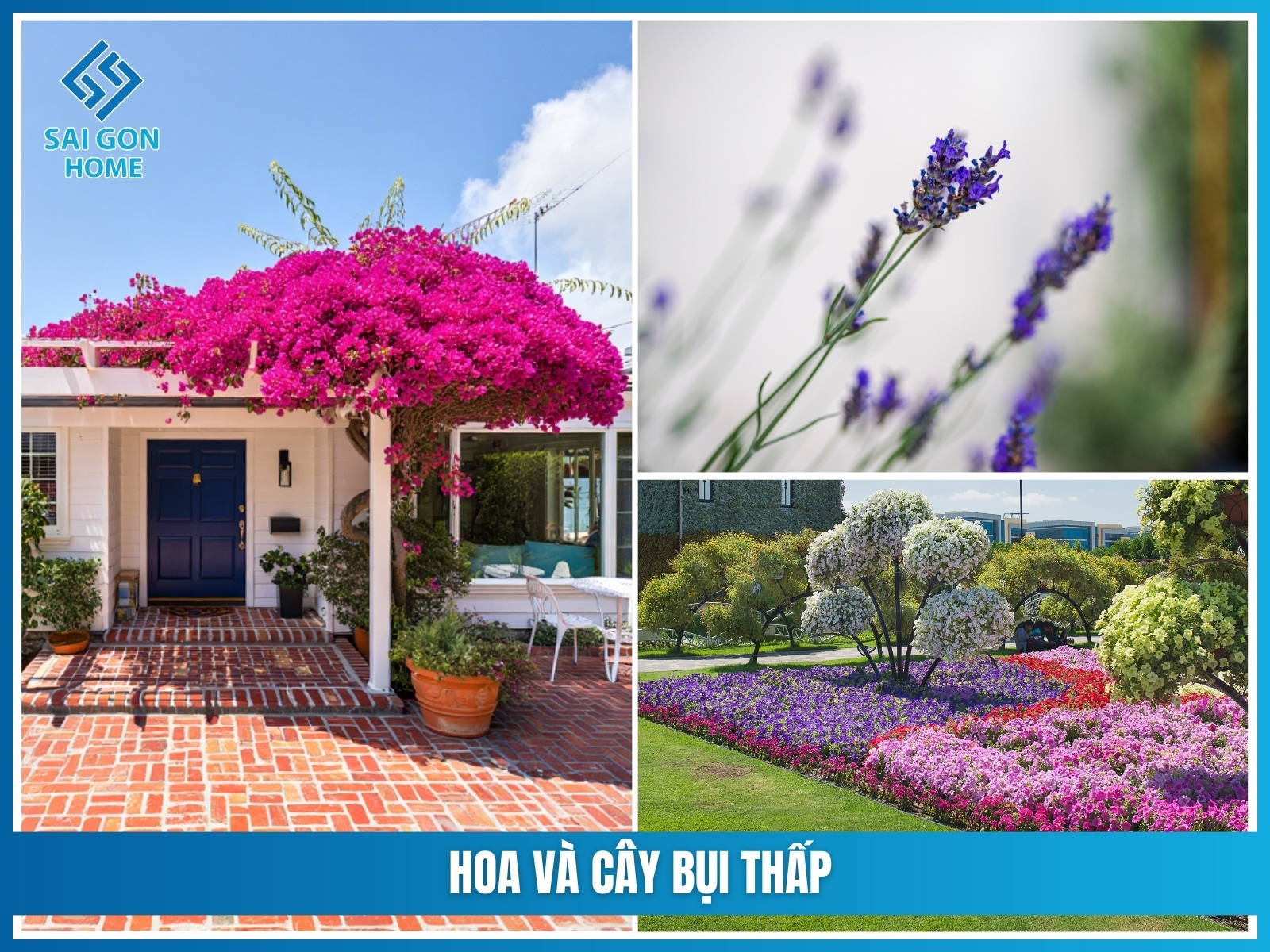 Ý tưởng thiết kế sân vườn nhỏ trước nhà cấp 4 ĐẸP MẮT 35 Hoa va cay bui thap