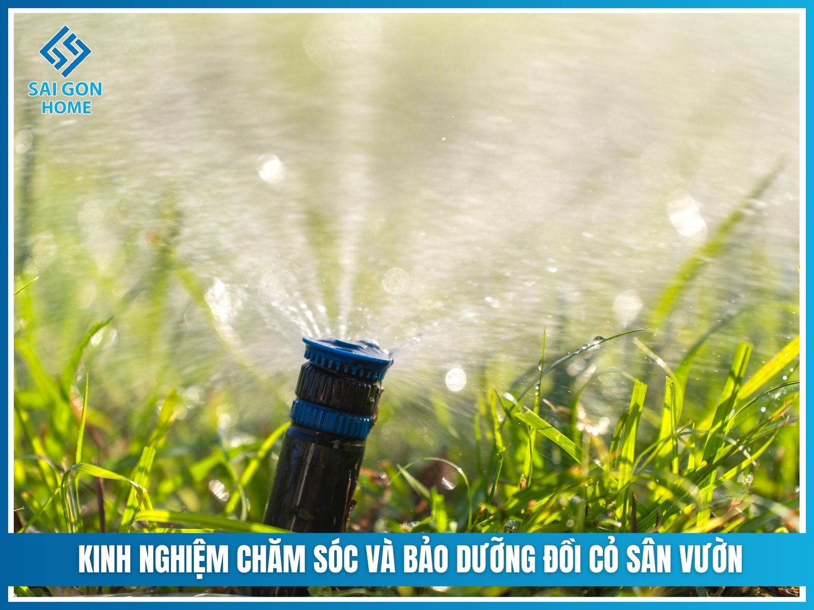 Kinh nghiệm chăm sóc và bảo dưỡng đồi cỏ sân vườn