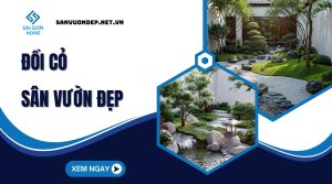 20+ ý tưởng đồi cỏ sân vườn đẹp ẤN TƯỢNG đáng đầu tư