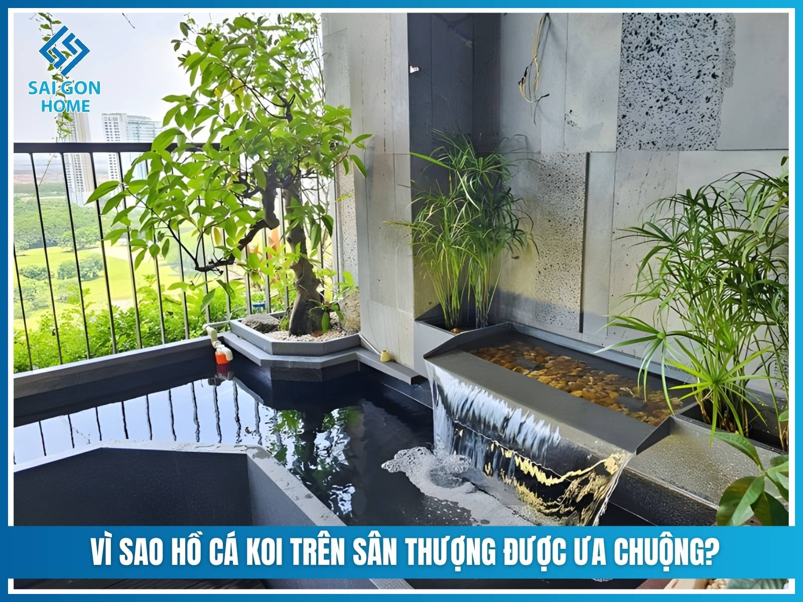 Vì sao hồ cá koi trên sân thượng ngày càng được ưa chuộng?