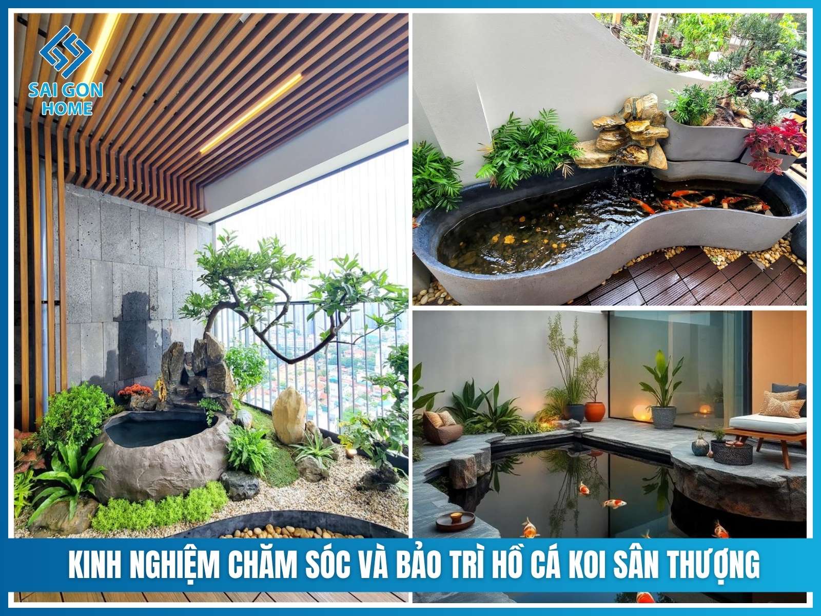 Kinh nghiệm chăm sóc và bảo trì hồ cá koi sân thượng
