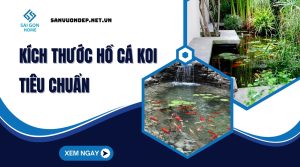 Kích thước hồ cá koi TIÊU CHUẨN và cách thiết kế hợp lý