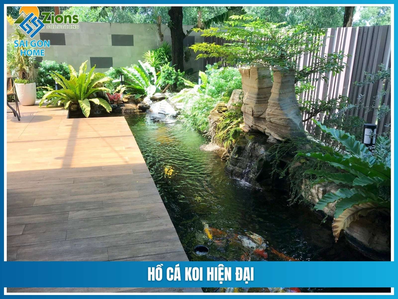 Hồ cá koi hiện đại