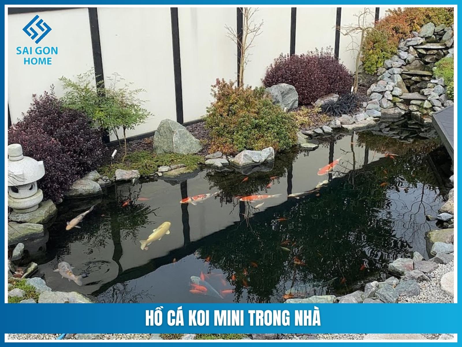 Hồ cá koi mini trong nhà