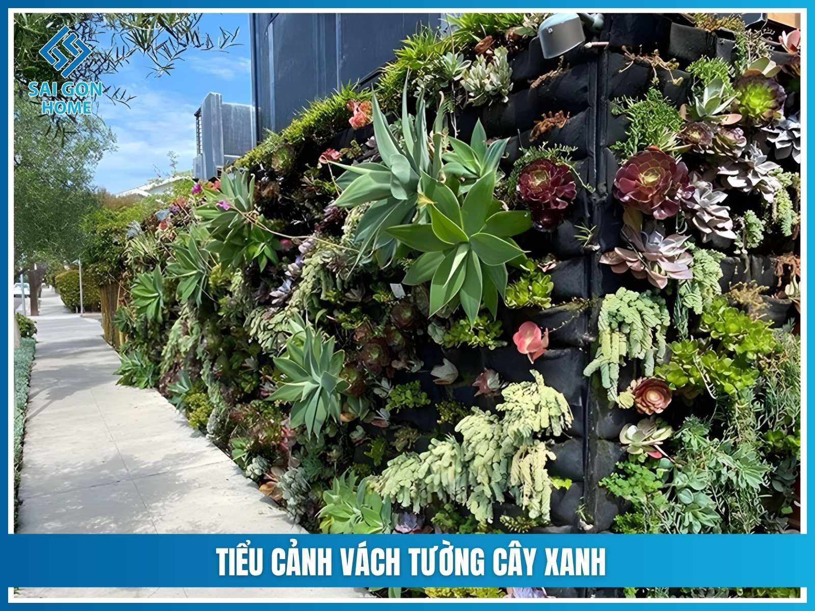 Tiểu cảnh vách tường cây xanh