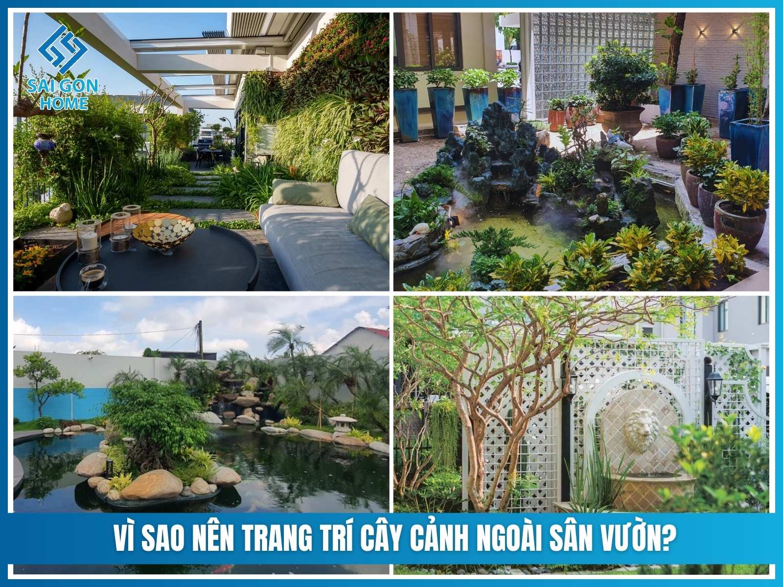 Vì sao nên trang trí cây cảnh ngoài sân vườn?